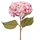 32 5 X 9 Lt  Pink Hydrangea Stem 3 bag