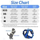 Rabbitgoo Pet Cat Harness Dog Adjustable Reflective Vest Escape Proof Blue Xs