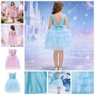 Girls Tutu Dress Show Flower Girl Birthday Skirted Performance V-back Princess