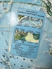 Vintage Rand Mcnally Portrait Globe 12 Inch Globe 16 Inches Tall