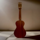 Vintage Harmony Roy Smeck Ukulele 1950s Mahogany Soprano Uke Chicago Usa