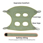 Cat Grooming Hammock Harness For Cats  Cat Nail Clipper