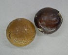 2 Irregular-roundish Shape Real Llama Bezoar Stones   9 3 Grams   am206 