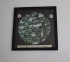 Microscope Photo Green Plant Cells C1910 Hand Tinted Magic Lantern Slide