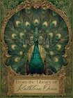 The Vanity Divine Peacock Ex Libris Personalized Bookplates Art Nouveau Labels