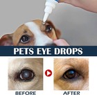 Cataract Drops For Dogs  Dog Eye Drops  Improve Vision Clarity  Improve Eye Visi