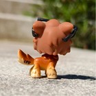 1pcs Mini Pet Shop Lps Toy Wolf 2141 Green Eyes Collect Kid Great Xmas Gift Rare