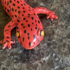 Red Salamander Safari Ltd  Tennessee Aquarium Retired Figure