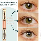 Organic Castor Oil  4oz    Filled Mascara Tube  100  Usda Pure