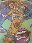 Red Hot Chili Peppers San Diego 2023 Foil Ben Brown Signed numbered   50        