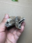 154g Beautiful Big Ice Age Mammal Tooth Specimen Pleistocene