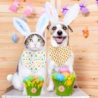 Easter Dog Bandana  2 Pack Adjustable Holiday Party Pets Rabbit Easter Egg 