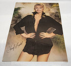 1979 Pro Arts 20 x28  Cheryl Ladd In Black Poster 14-688  charlie s Angles 