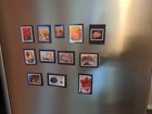 Usps Stamp Magnet Lot Of  12  Flowers   Blossoms 