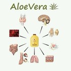 3 Bottles Of Forever Aloe Vera Juice 33 8 Fl oz  Original Rare