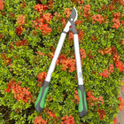 Expert Gardener 24 Inches Steel Bypass Lopper  1  Cutting Capacity Pack Of 2