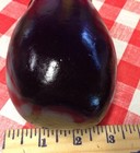 Realistic Artificial Vegetables Faux Fake Food Eggplant Display Stage Movie Prop
