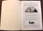 Vintage 1921 Yellowstone National Park Wyoming Booklet Union Pacific Rr Maps