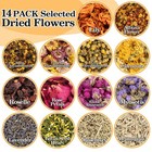 Dried Herbs Kit - Dried Botanicals Bulk 14 Bags Natural Dry Flowers And Herbs   