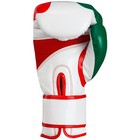 Title Boxing Infused Foam El Combate Mexico Hook And Loop Training Gloves
