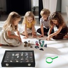 Rock Collections Box For Kids - Rock Display Case For Collectibles - Rock Colle