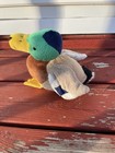 Ganz Webkinz Retired Mallard Duck Plush Stuffed Animal Hm682 No Code
