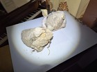 2 Antique Assy Sample Bags Of Gold Ore  Mining-high Grade-california Mine  1981 