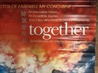 Together 2002 Original Vinyl Bus Shelter 4x6 Ft Chinese Movie Poster Chen Kaige