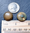 4 Matching Antique Vegetable Ivory Round Gray Brown Buttons D651