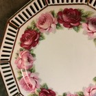 Schumann Arberg Germany Porcelain Reticulated Plate Hand Painted Roses Design