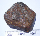 193 Grams Campo Del Cielo Iron Meteorite With A Certificate Of Authenticity