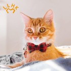 4 Pack Small Fish Cat Collars With Bow Tie And Bell personalized Breakaway