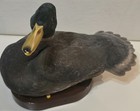 12  Gemmy Decoy Roy Singing Talking Mallard Duck Jokes  Partial Working  damaged