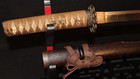 Antique Japanese Hirazukuri Wakizashi - Yamagane Tsukashi Tsuba               Edo Period