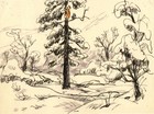 1974 disney  Winnie The Pooh And Tiger Too-original Storyboard-tigger roo