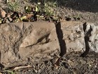 Shadow Ridge Concrete Stamps- Realistic Stone Texture For Curbing   Vertical