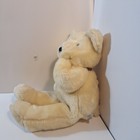 Vtg Eden Cream Ivory Bear   Bow 14  Plush Stuffed Animal
