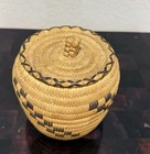 Vintage Tohono O odham Papago Native American Woven Coiled Basket With Lid Yucca