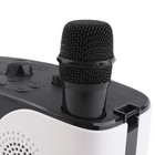 Karaoke Machine With 2 Wireless Microphones Bt Microphone And Speaker Ktv Dbss