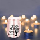 Mini Urn For Human Ashes - 1 2   1 6  Keepsake Cremation Urns Small Pink