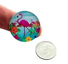 6 Tropical Beach Flamingo Art 25mm Domed Round Glass Flatback Tile Cabochons