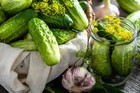 200  Boston Pickling Cucumber Seeds -- Non-gmo-- Heirloom - Fresh