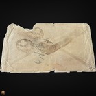 India Used Abroad 1881 Aden To Bombay 4a Pair Cover Ss Nubia To Cowasjee Dinshaw