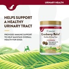 Naturvet Cranberry Relief 120 Count Soft Chew  jar  With Echinacea For Dogs
