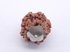 1 Mukhi Nepali Rudraksha Silver Pendant Igl Certificated Rudraksha Prayer Beads
