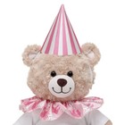 Build A Bear  Frosted Animal Cookie Hat And Collar Set