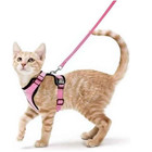 Cat Harness And Leash For Walking  Escape Proof Soft Adjustable Vest Harnesses F