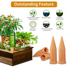 Plant Watering Spikes 12 Pack terracotta Plant Watering Spikes Wine Bottle Autom