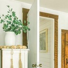 Preserved Dried Eucalyptus Stems 7-10 Pcs Pure Natural Real Silver Dollar Lea   