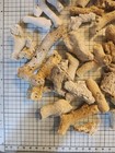 Florida Agatized Coral Fossil 74 Small Pieces  Uncut  Over 1 5 Lb   Fluorescent 